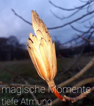 Magische_Monente_loslassen